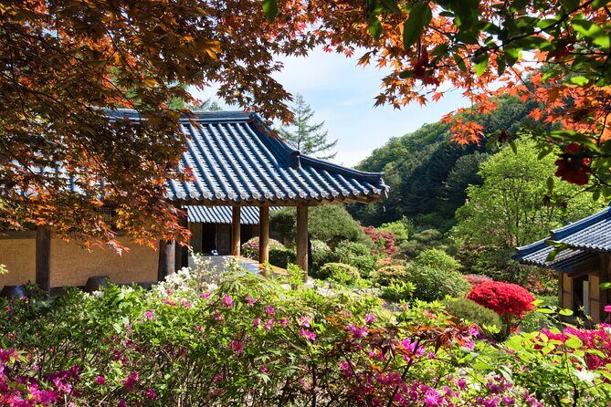 Day Trip to Nami Island with The Garden of Morning Calm - Nami Island