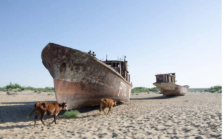 Daytrip from Khiva to Aral Sea Cemetery of Ships. All in one - Practical Considerations and Tips