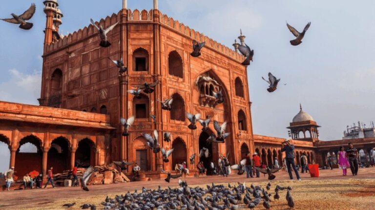 Delhi City Tour: Old, New, or Both Half & Full Day Options - The Detailed Itinerary Breakdown