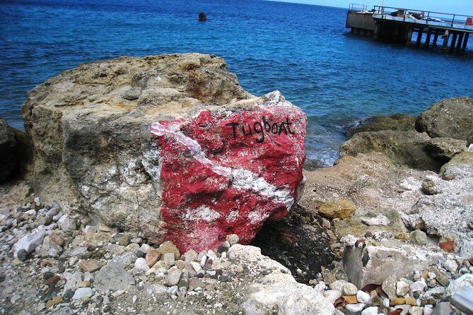 Discover Diving in Curacao - Who Will Love This Tour?