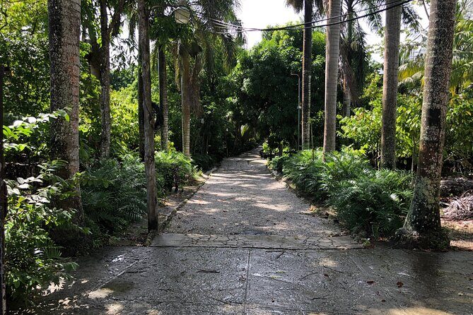 Discover Dominican life - What’s on the Itinerary? A Detailed Breakdown