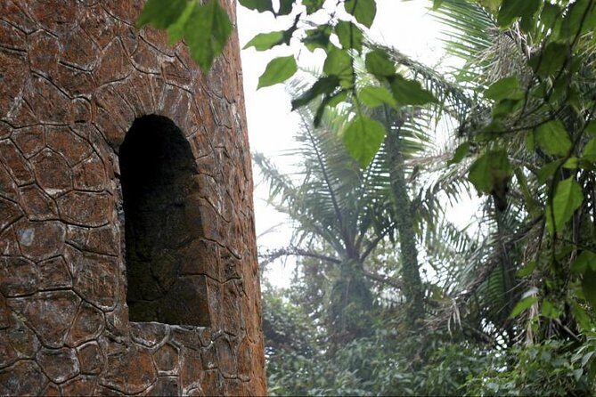 Discover El Yunque National Park: Half-Day Rainforest Tour - The Value of This Experience