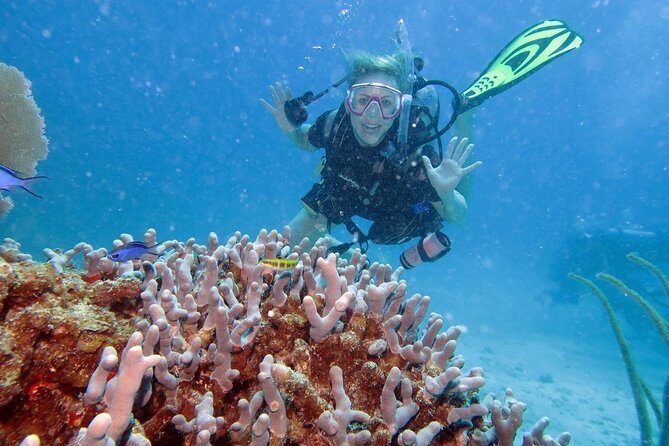 Discover Fajardo: 2-Tank Scuba Diving - The Sum Up: Is It Worth It?