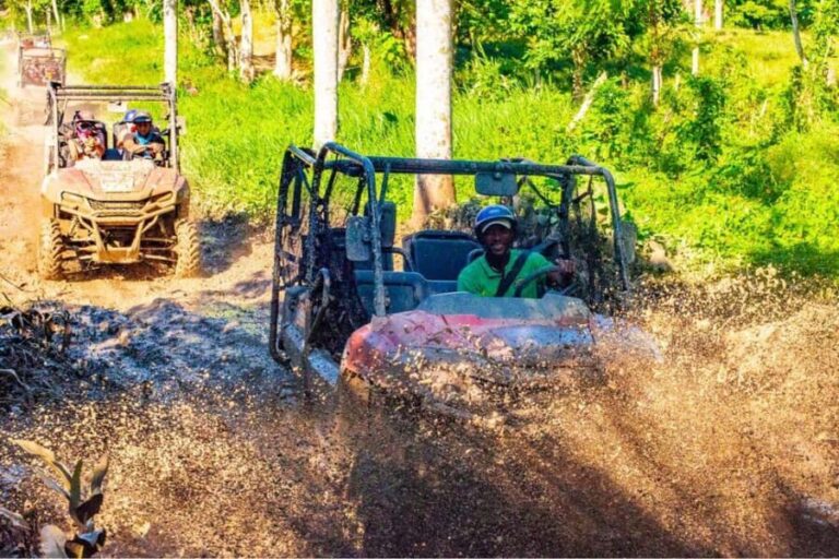 Discover Punta Cana: Buggy Tour, El Macao Beach, Blue Cenote - The Travel Experience