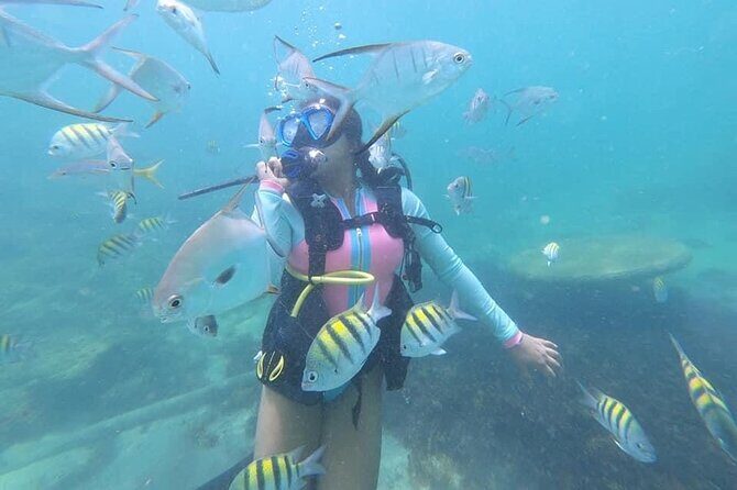 Discover Scuba Diving in San Juan: Perfect for First-Time Divers - The Experience — What Travelers Say