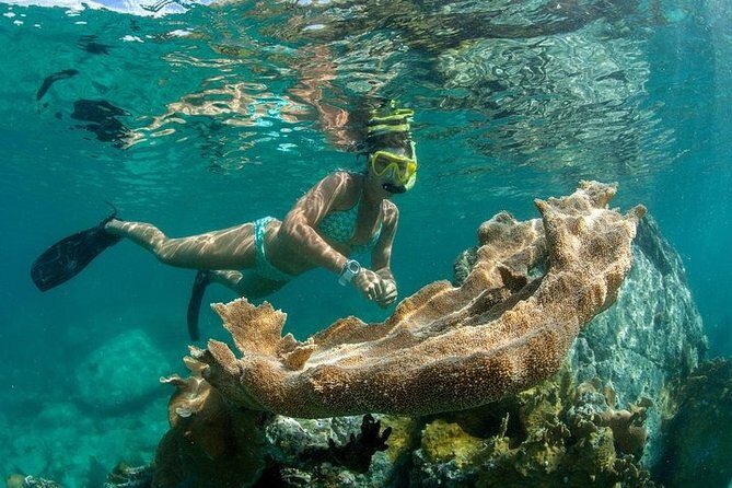 Discover The Baths of Virgin Gorda Full Day Adventure - Westin St. John - FAQ