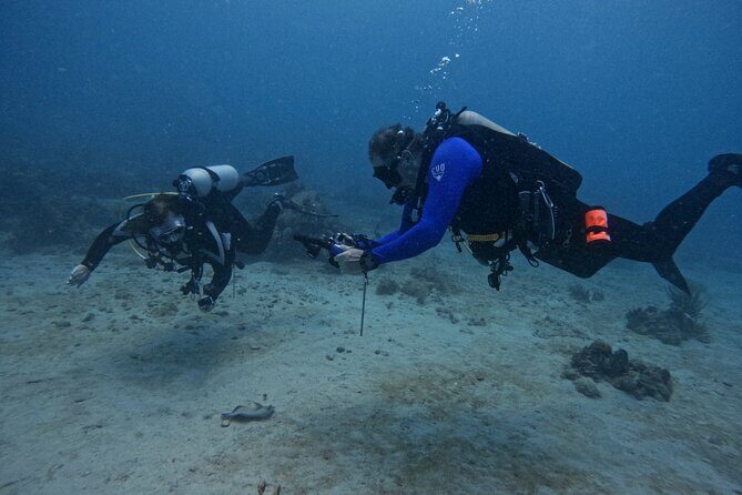 DiveCarib - An Eco-Friendly Certified Diver Trip in Antigua - The Itinerary: What You Can Expect