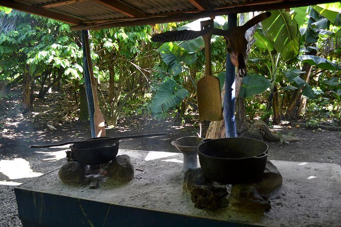 Dominican Republic Countryside Safari Tour from Punta Cana - Final Thoughts: Is This Tour Right for You?