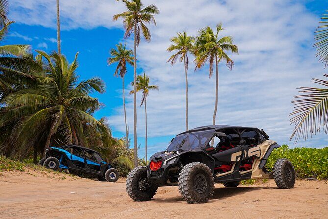 Drive a UTV Can-Am on a Beach Tour in San Juan Puerto Rico - Who Is This Tour Best For?