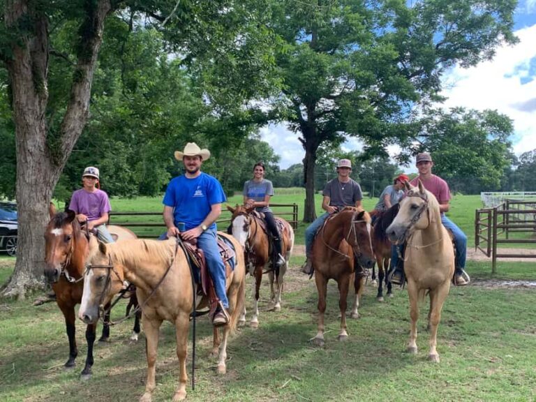 El Limón: Waterfall Horseriding Tour with Lunch - The Experience: What Travelers Say