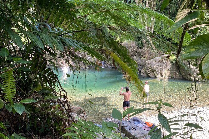 El Yunque Hike Adventure to Las Tinajas Waterfall from Fajardo - What Travelers Say