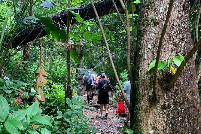 El Yunque National Forest and Luquillo Beach Tour - Final Thoughts — Is It Worth It?