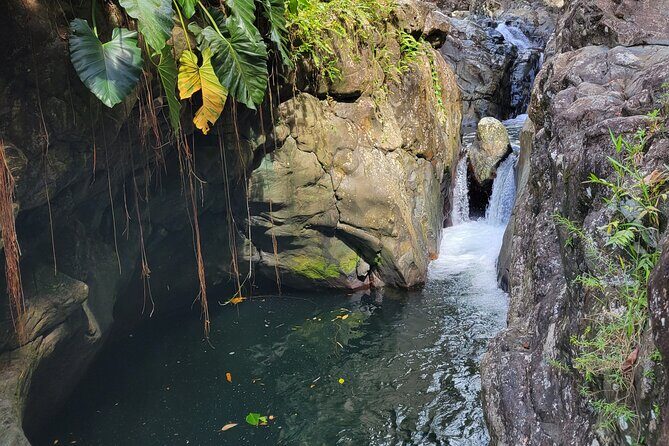 El Yunque Rainforest and Luquillo Kiosk Day Trip - Practical Tips for Future Travelers