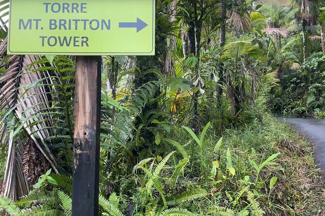 El Yunque Rainforest Hike with Transport from San Juan - Final Thoughts: Is This Tour Right for You?