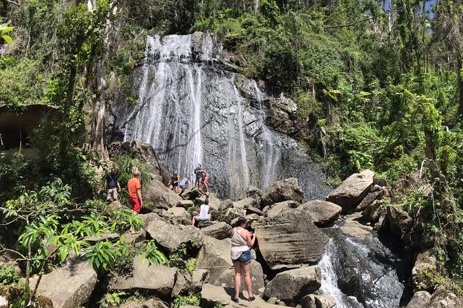 El Yunque Rainforest Hiking Tour from San Juan - The Itinerary: What to Expect