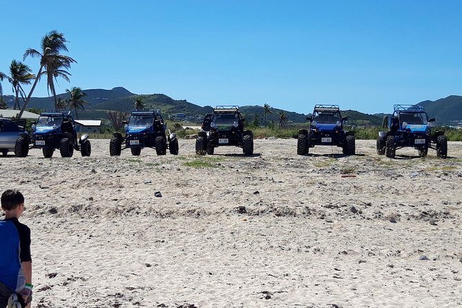 Electric Adventures Buggy Rental - What Makes It a Great Choice?