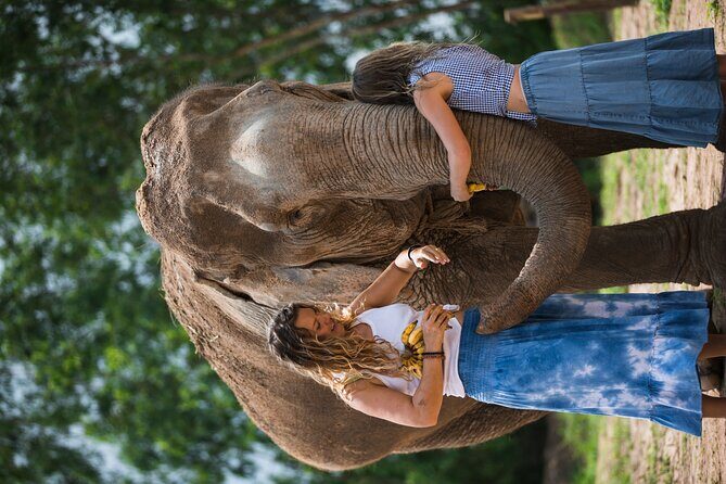Elephant Jungle Sanctuary: Half Day Morning Program - Is It Worth the Price?