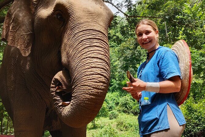 Ethical Elephant Visit and White Water Rafting in Chiang Mai - The Itinerary: Step-by-Step Experience