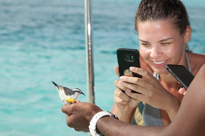 Experience The Exumas and the World Famous Swimming Pigs - Food and Drinks: A True Bahamian Feast