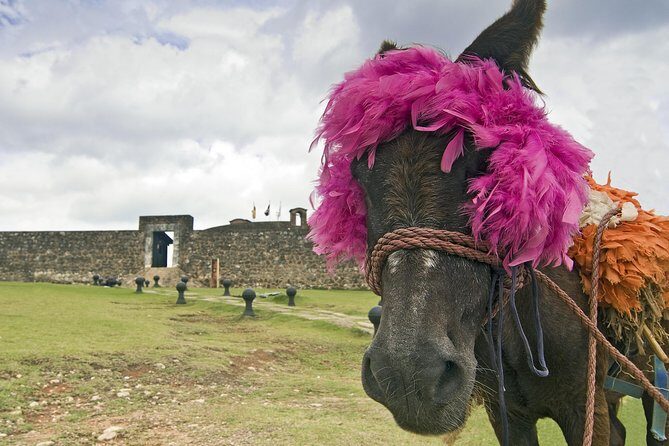 Explore Puerto Plata's Best & Cable Car - Shore Excursion - FAQ