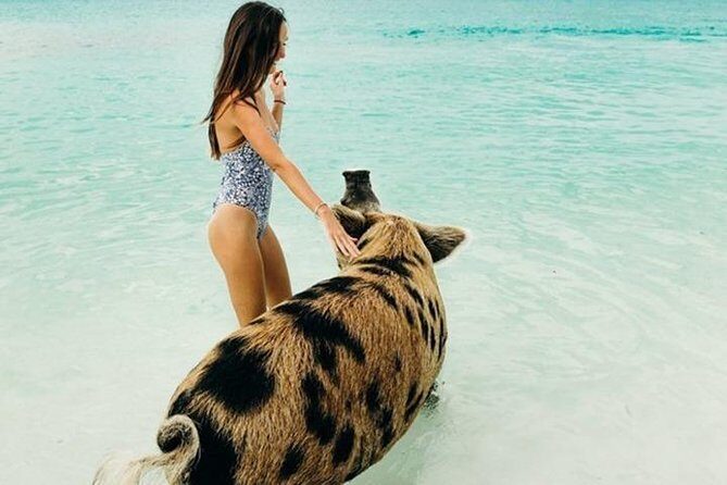 Exuma Elite Escape: Luxury Fly-In Pig Beach Adventure - 7 Stops - FAQs