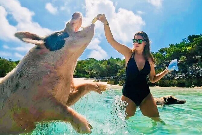 Exuma Island and Cays Tour - The Sum Up