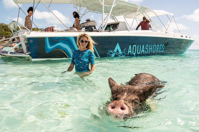Exuma Powerboat Tour from Nassau with Swimming Pigs - What to Expect on the Day