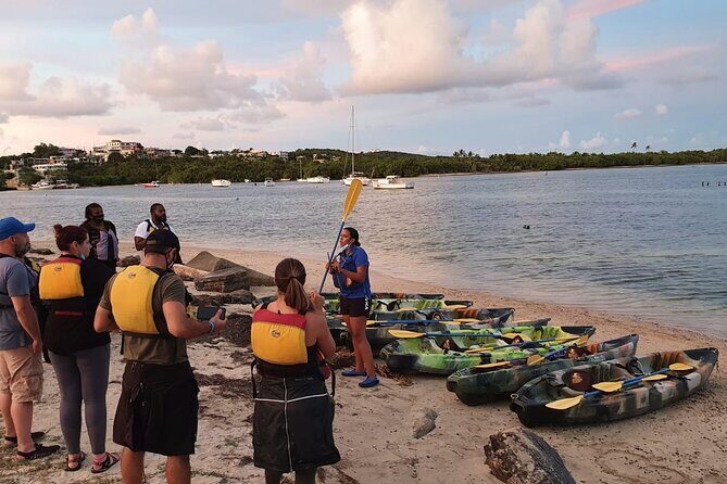 Fajardo Bioluminescent Bay Night Kayak Adventure from San Juan - Final Thoughts