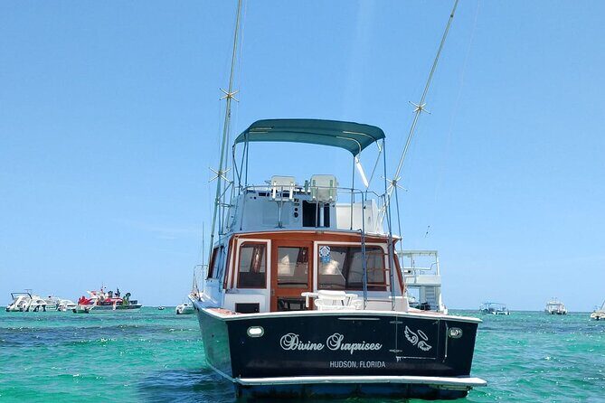 FISHING PRO CHARTERS - Boat Excursion - Divina - An In-Depth Look at the Experience
