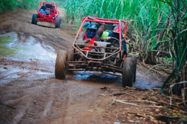 From Bayahibe: Half-day La Romana ATV or 4X4 Buggy Tour - What Makes This Tour Stand Out