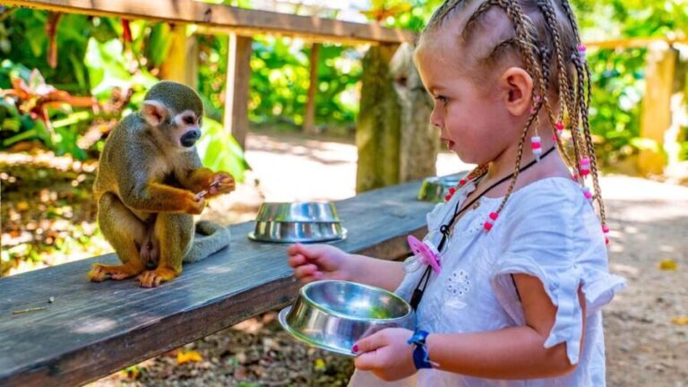 From Bayahibe: Half Day Monkeyland Safari - How the Itinerary Works in Practice