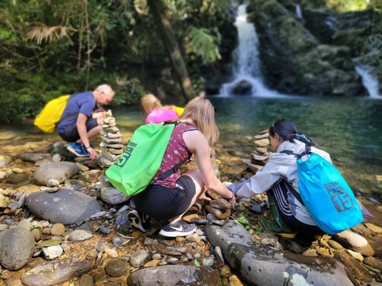 From Da Nang or Hoi An: Bach Ma National Park Trek & Lunch - What to Expect from the Experience