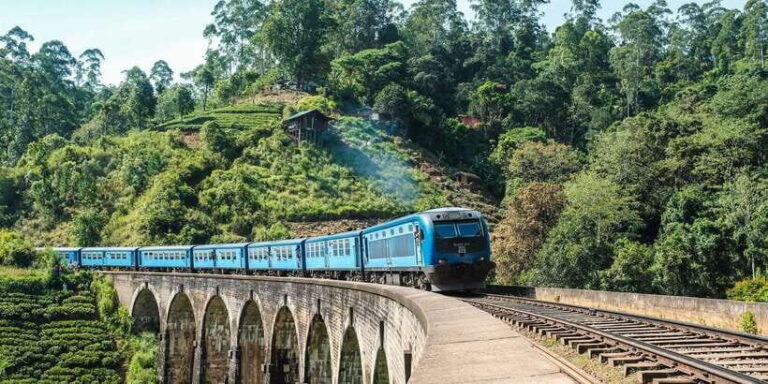 From Ella- All inclusive Day Trip of 8 Iconic Sights & Train - An In-Depth Look at the Ella Day Trip