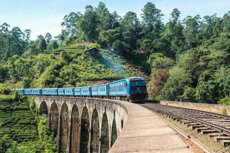 From Galle/Hikkaduwa/Mirissa: Day Trip to Experience Ella - Why Travelers Rave About This Tour