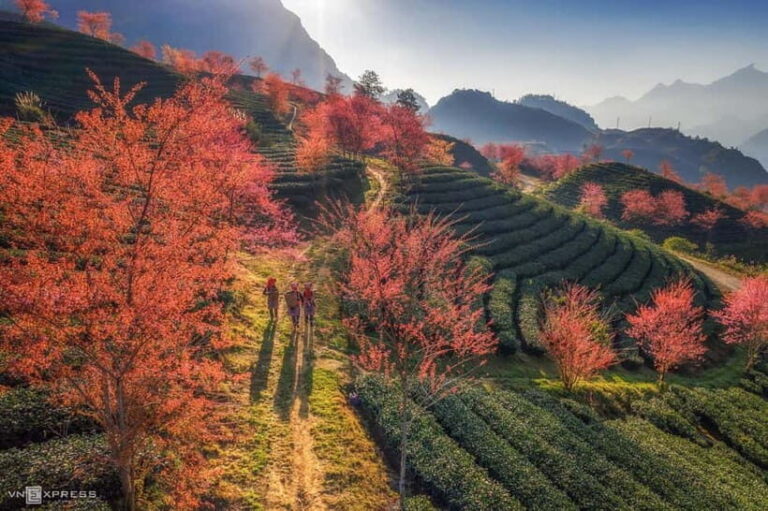 From Hanoi: 2-Day Luxury Sapa Trekking Tour with Homestay - What Makes This Tour Stand Out