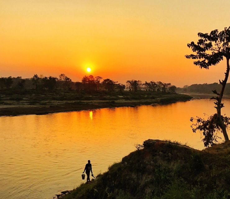 From Kathmandu/Pokhara: 3 Day All-Inclusive Chitwan Safari - What Makes This Tour Stand Out?