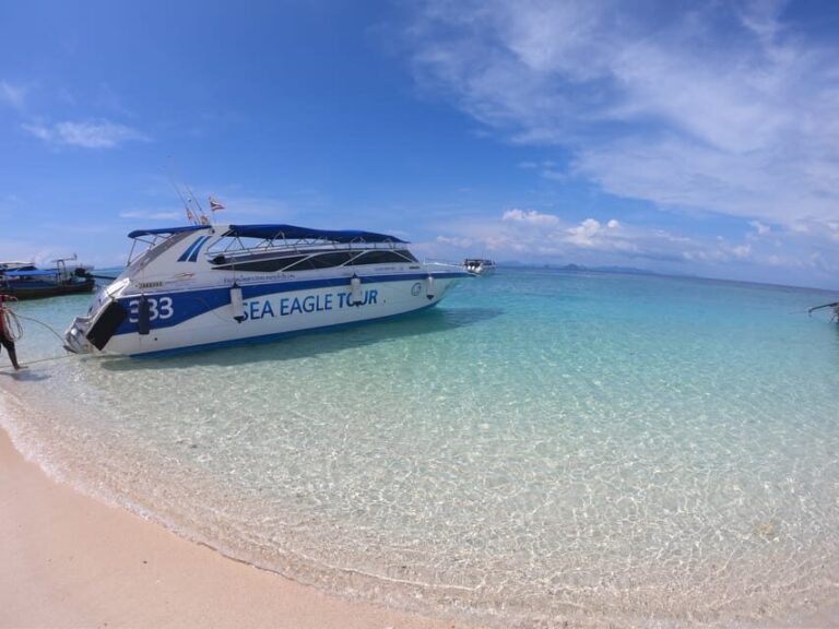 From Krabi: Phi Phi Islands Speedboat Day Tour - The Real Experiences: What Travelers Say