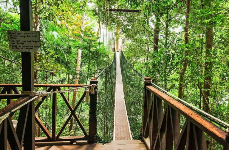 From Kuala Lumpur: Full-Day Taman Negara National Park - What’s Included and What’s Not