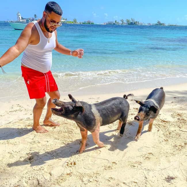 From Nassau: Swim with Pigs Safari - The Itinerary in Detail