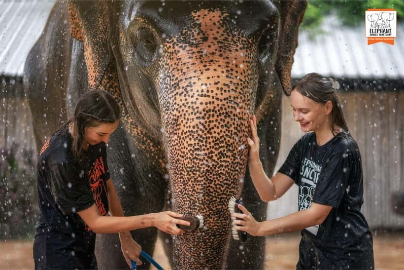 From Phuket: Elephant Jungle Sanctuary Feed and Shower Trip - Considering the Value