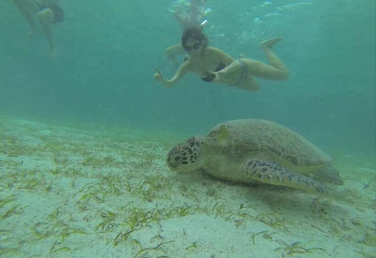From Puerto Princesa: Port Barton & Island Hopping Day Trip - Detailed Breakdown of the Itinerary
