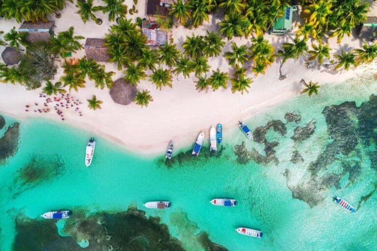 From Punta Cana: Catamaran Tour to Saona Island with Open Bar and Buffet - What the Reviews Say