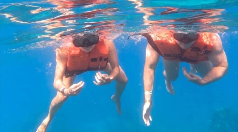 From Punta Cana or Bayahibe: Catalina Island with Snorkeling - The Practical Side: Transport, Duration, and Value