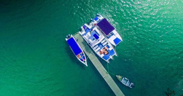From Punta Cana: Samana Full Day Trip by Bus and Boat - What Makes This Tour Stand Out?