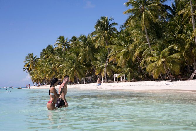From Punta Cana: Saona Island & Altos de Chavon Day Trip with Lunch and Open Bar - Why This Tour Works Well