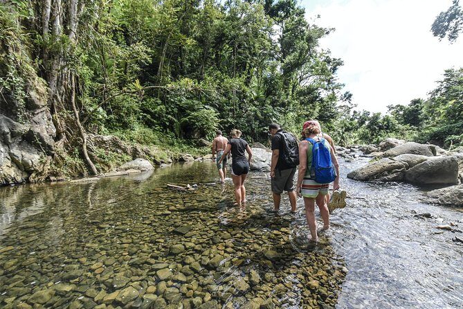 From San Juan: El Yunque Rainforest Hiking Adventure - The Value for Money