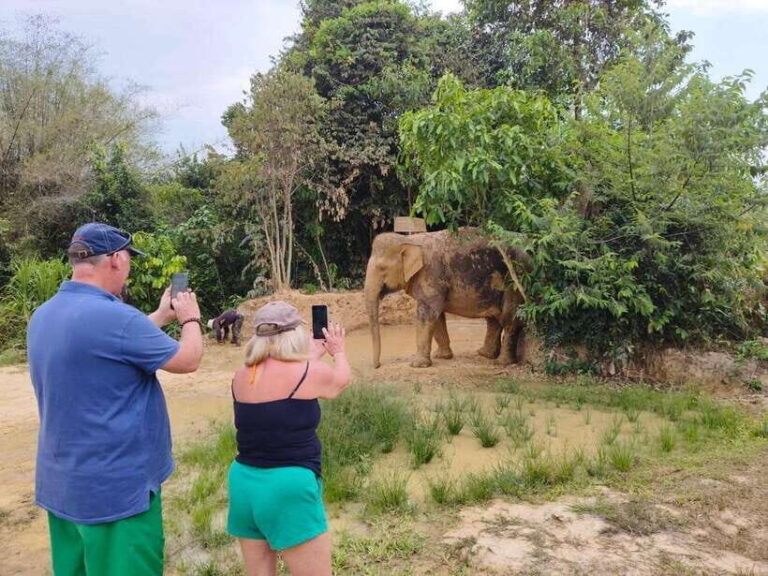 From Siem Reap: Elephant Sanctuary Experience with Transfers - Up-Close with Elephants