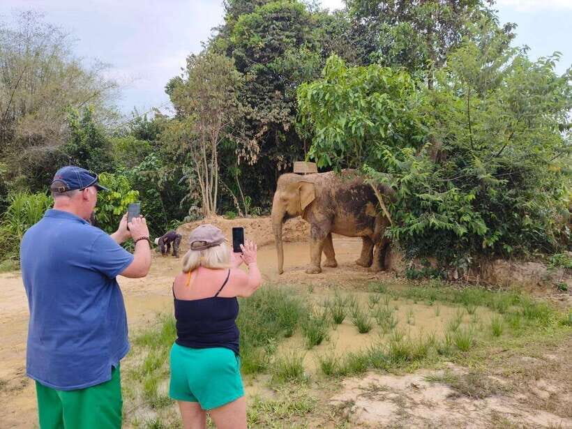 From Siem Reap: Elephant Sanctuary Experience with Transfers - Up-Close with Elephants