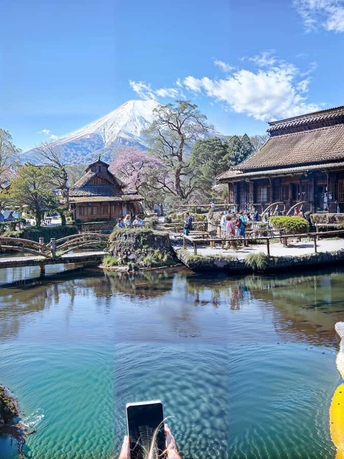 From Tokyo: Mount Fuji and Hakone Private Day Trip - Why This Tour Works for You