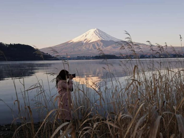From Tokyo: Mount Fuji Full-Day Customizable Private Tour - Why This Tour Offers Great Value